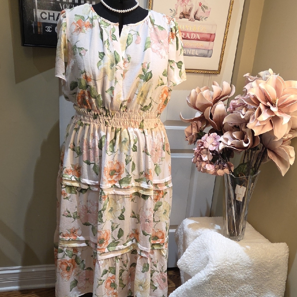 Nwt 2X Rachel Zoe Cream Maxi Dress with Pink and Green Floral Print